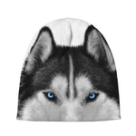 Siberian Husky Portrait Print Beanie
