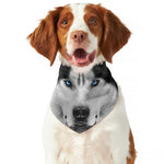 Siberian Husky Portrait Print Dog Bandana