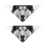Siberian Husky Portrait Print Dog Bandana