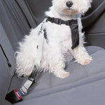 Siberian Husky Portrait Print Dog Seat Belt
