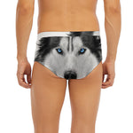Siberian Husky Portrait Print Men's Briefs