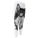 Siberian Husky Portrait Print Men's Compression Pants