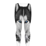 Siberian Husky Portrait Print Men's leggings