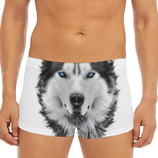 Siberian Husky Portrait Print Men's Short Boxer Briefs