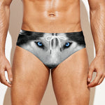 Siberian Husky Portrait Print Men's Swim Briefs
