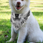 Siberian Husky Portrait Print Over The Collar Dog Bandana