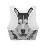 Siberian Husky Portrait Print Women's Sports Bra
