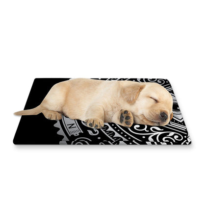 Silver And Black All Seeing Eye Print Pet Cooling Mat Cover
