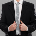 Silver And White Snowflake Pattern Print Necktie