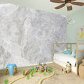 Silver Grey Marble Print Wall Sticker