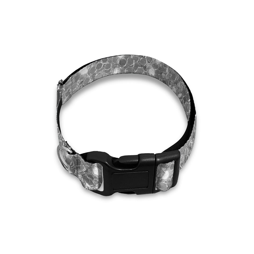 Silver (NOT Real) Glitter Print Dog Collar