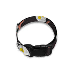Skull Fried Egg And Bacon Pattern Print Dog Collar