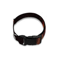 Skull In Flames Print Dog Collar