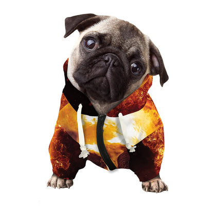 Skull In Flames Print Dog Zip Up Hoodie
