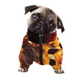 Skull In Flames Print Dog Zip Up Jacket