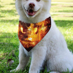 Skull In Flames Print Over The Collar Dog Bandana