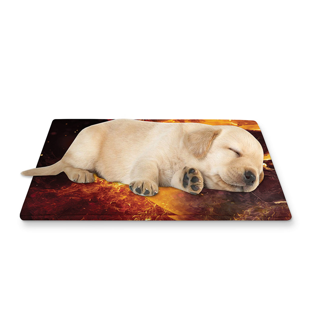 Skull In Flames Print Pet Cooling Mat Cover