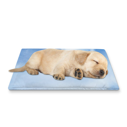 Sky Cloud Print Pet Cooling Mat Cover