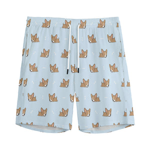 Sleeping Chihuahua Pattern Print Men's Sports Shorts