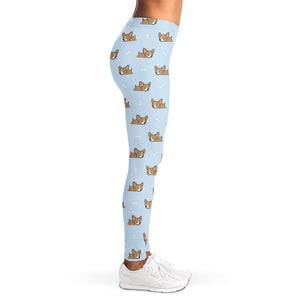 Sleeping Chihuahua Pattern Print Women's Leggings