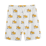Sleeping Corgi Pattern Print Men's Sports Shorts