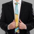 Sliced Pineapple Print Necktie