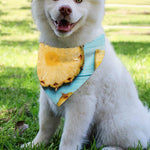 Sliced Pineapple Print Over The Collar Dog Bandana