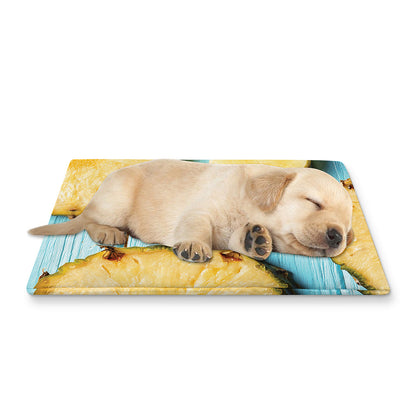 Sliced Pineapple Print Pet Cooling Mat Cover
