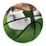 Smiley Face Giraffe Print Basketball