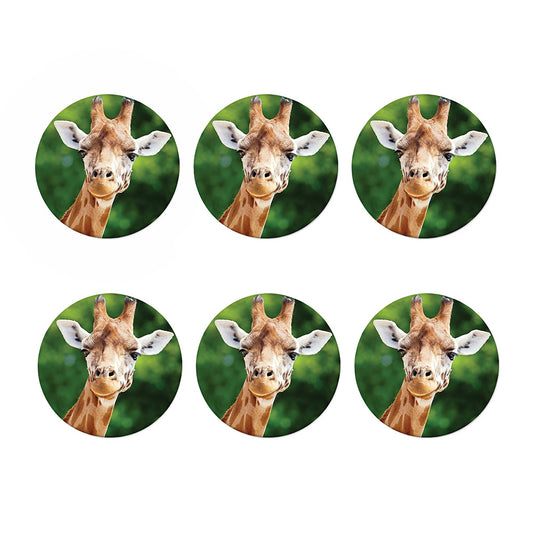 Smiley Face Giraffe Print Coaster Set