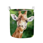 Smiley Face Giraffe Print Collapsible Laundry Basket