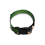 Smiley Face Giraffe Print Dog Collar