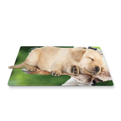 Smiley Face Giraffe Print Pet Cooling Mat Cover