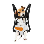 Snowman Face Print Pet Carrier Backpack