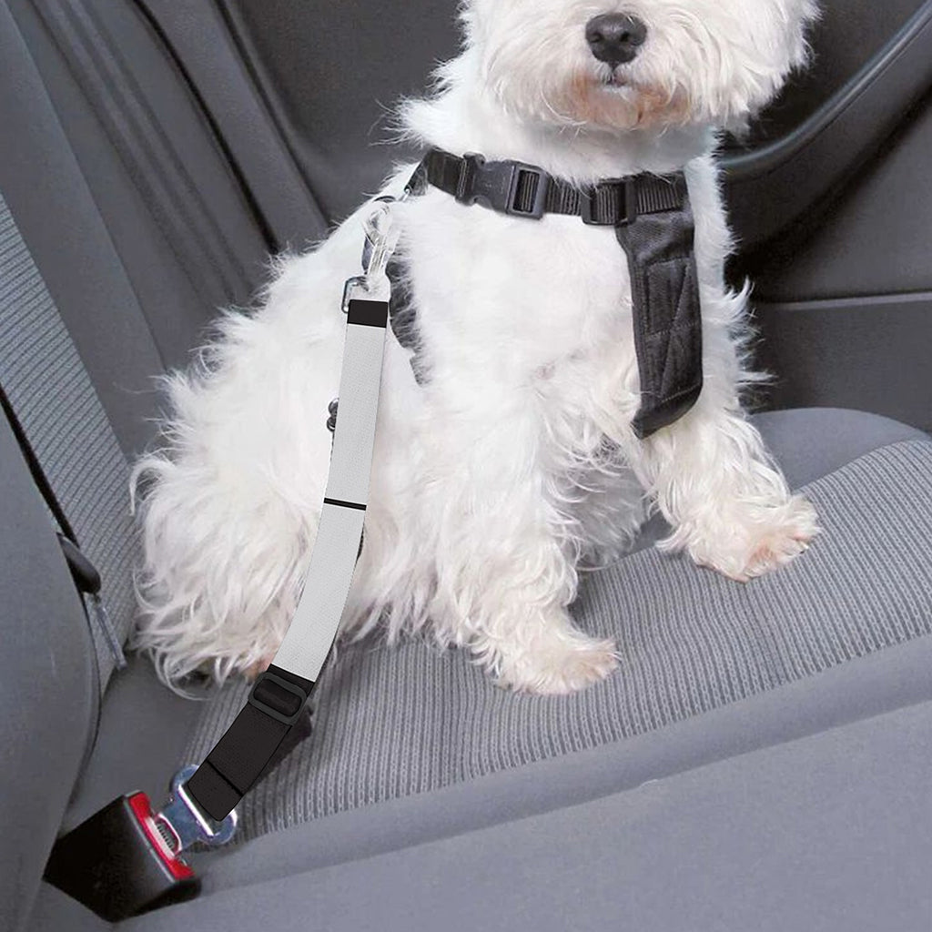 Soccer Ball Print Dog Seat Belt