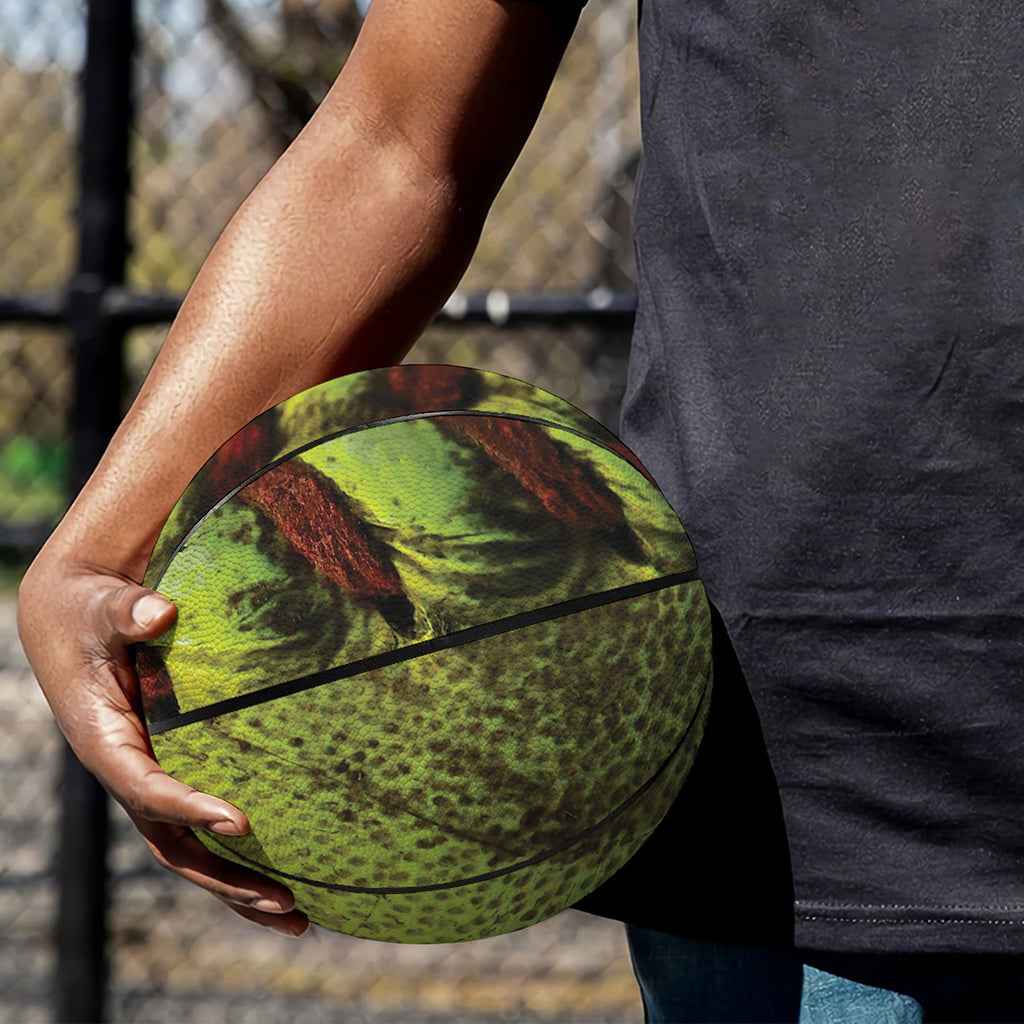 Softball Ball Print Basketball