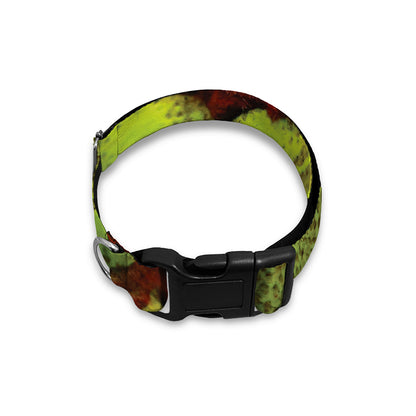 Softball Ball Print Dog Collar