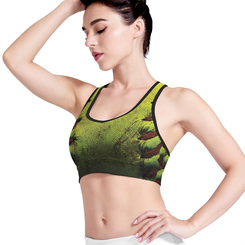 Softball Ball Print Women's Sports Bra