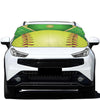 Softball Field And Ball Print Car Windshield Snow Cover