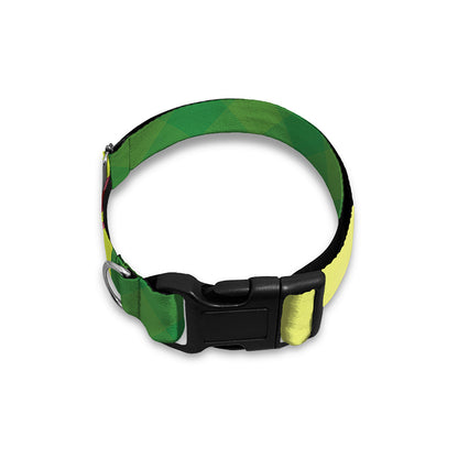 Softball Field And Ball Print Dog Collar