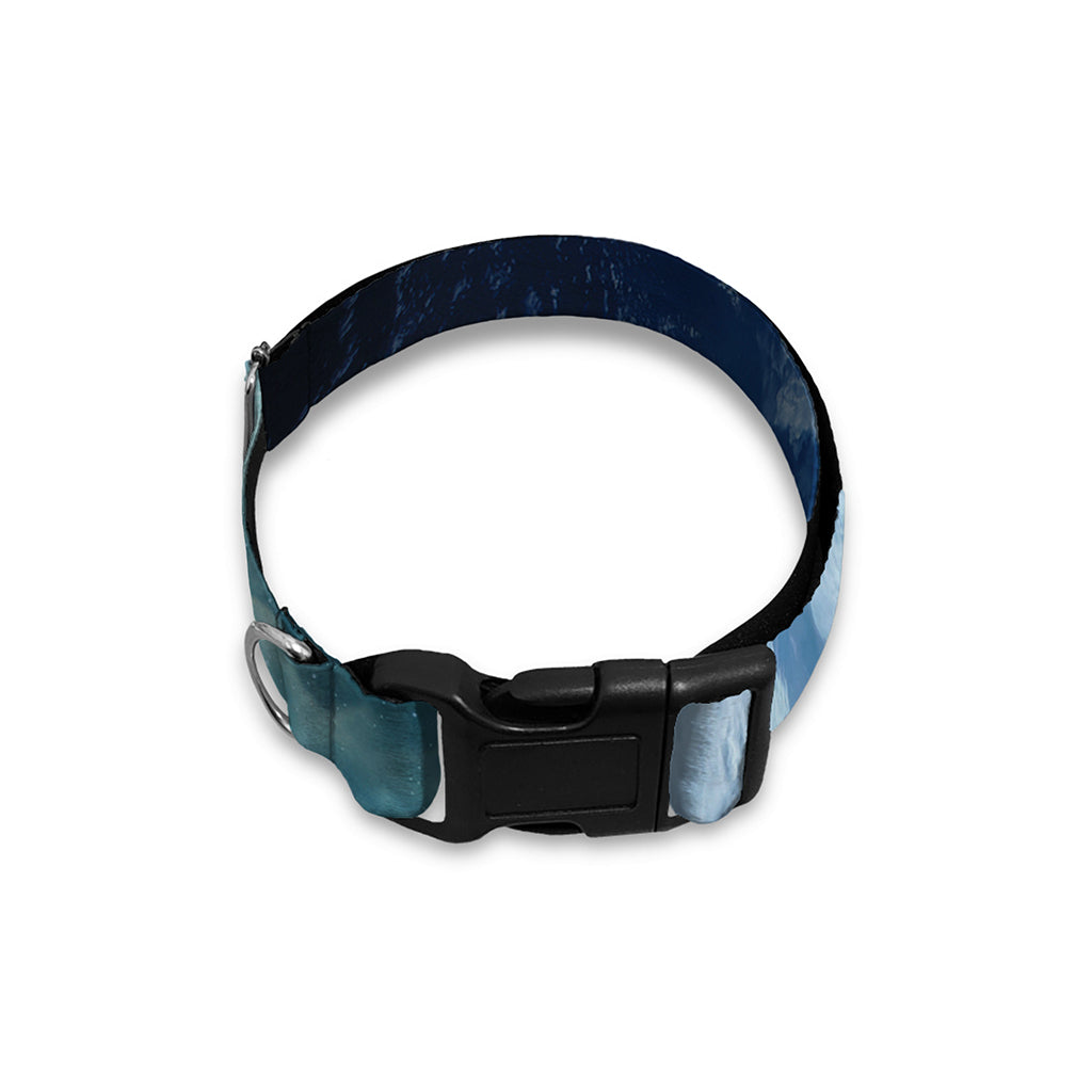 Space And Earth Print Dog Collar