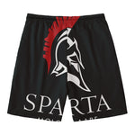 Spartan Molon Labe Print Men's Swim Trunks