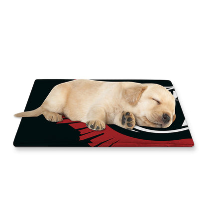 Spartan Molon Labe Print Pet Cooling Mat Cover
