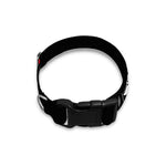 Spartan Warrior Print Dog Collar