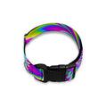 Spiky Spiral Moving Optical Illusion Dog Collar