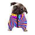 Spiral Colors Moving Optical Illusion Dog Zip Up Jacket
