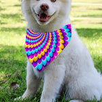 Spiral Colors Moving Optical Illusion Over The Collar Dog Bandana