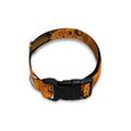 Spiral Fractal Print Dog Collar