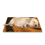 Spiral Fractal Print Pet Cooling Mat Cover