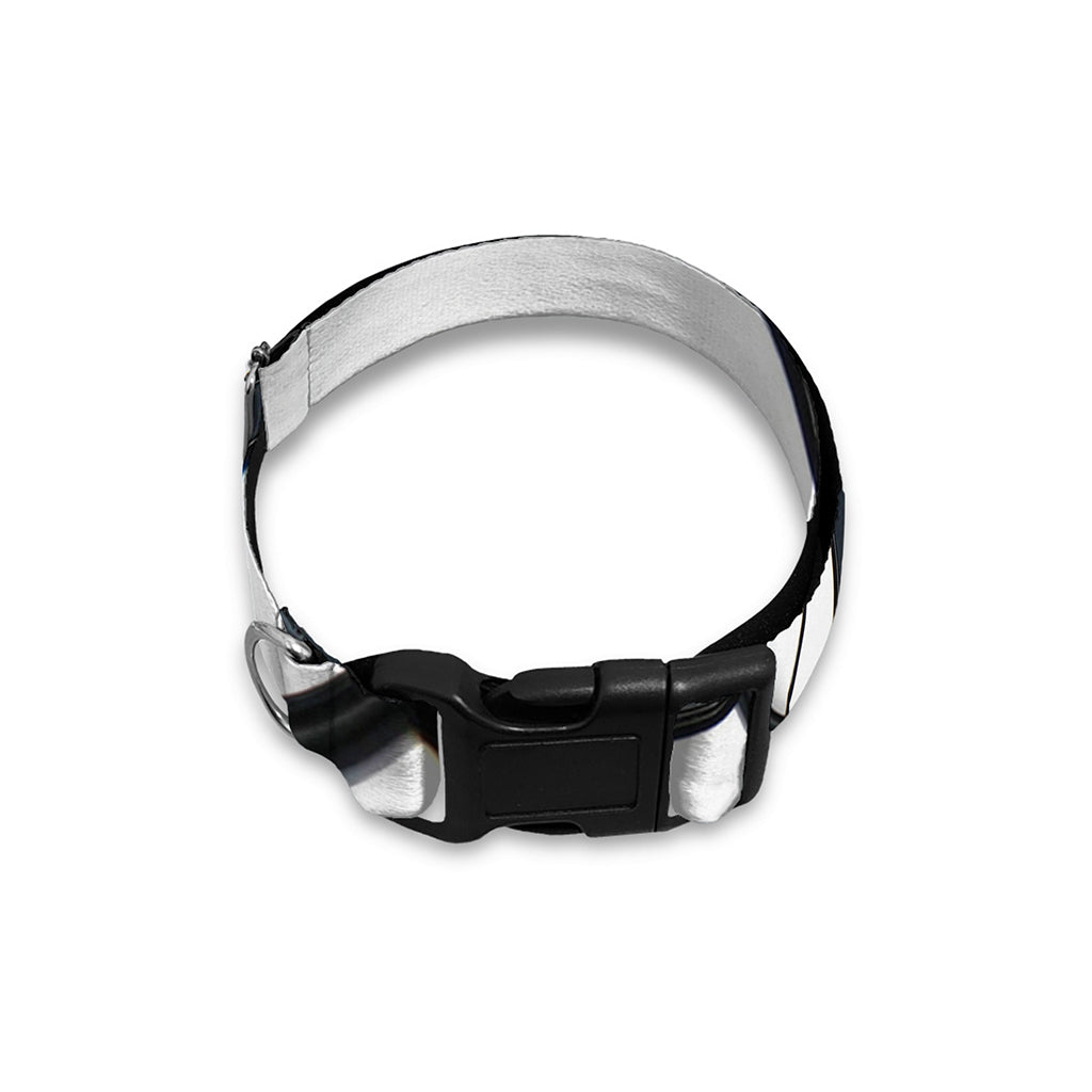 Spiral Piano Keyboard Print Dog Collar